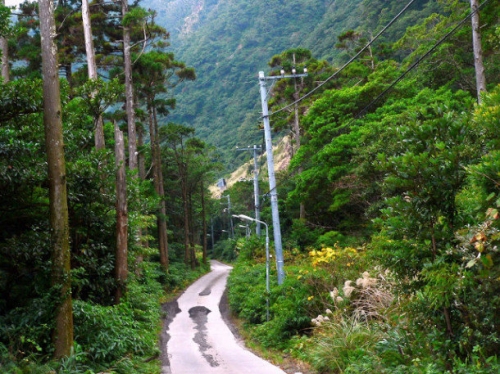 trai nghiem dao nui lua o aogashima-9