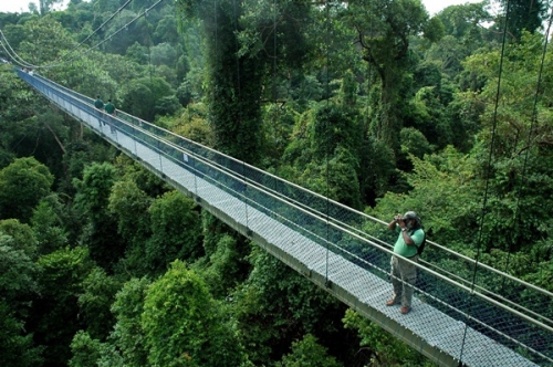 10 trải nghiệm du lịch miễn phí ở Singapore - 13