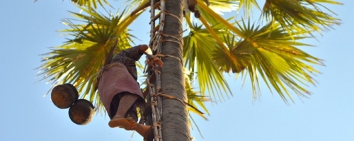 13 trai nghiem dang nho trong chuyen du lich myanmar-10