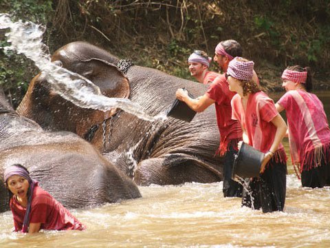 48h ở Chiang Mai - 1