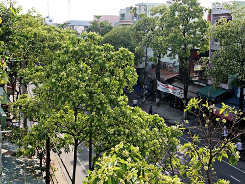 6 điều không nơi nào có trừ Đà Nẵng - 3