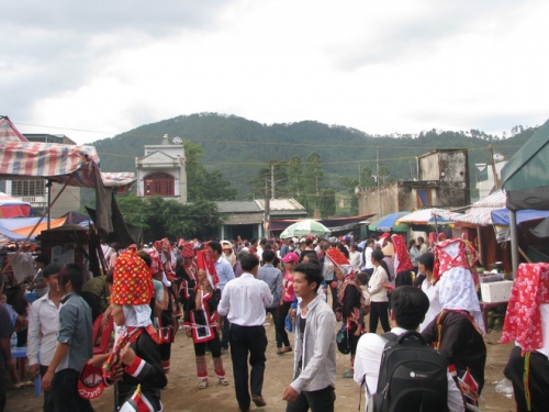 cho tinh o vung cao quang ninh-8