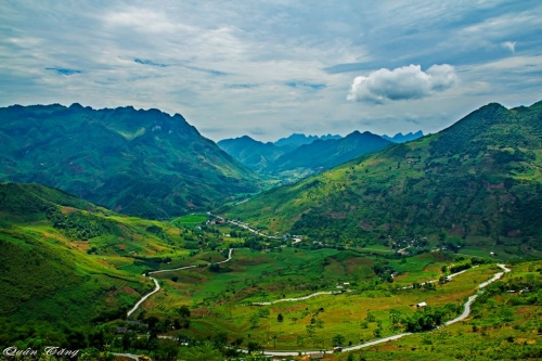 Chúng nó đã cùng nhau vượt 1528 km như thế đó - 1