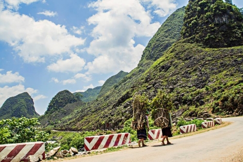 Chúng nó đã cùng nhau vượt 1528 km như thế đó - 10