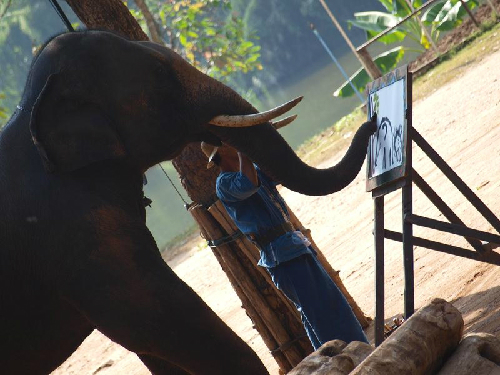 Cố đô Lampang - 2