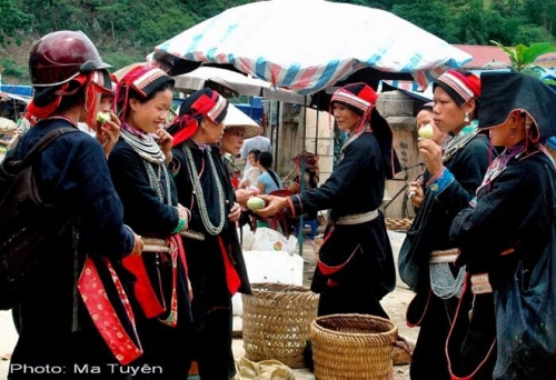 cung duong da no hoa quyen ru o ha giang - 3