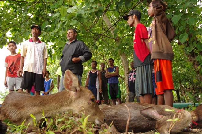 cuoc song cua tho dan dao papua-8