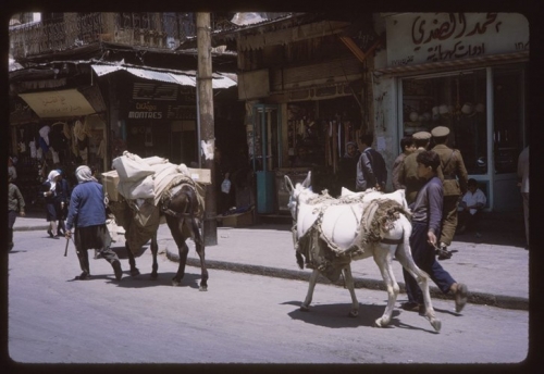 Cuộc sống thanh bình ở Syria 50 năm trước - 7