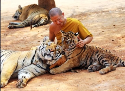 den ho noi tieng cua thai lan het ho-1