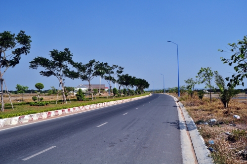 Đi qua mùa Đỗ Mai ảnh 1