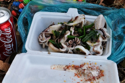 Đi qua mùa Đỗ Mai ảnh 13