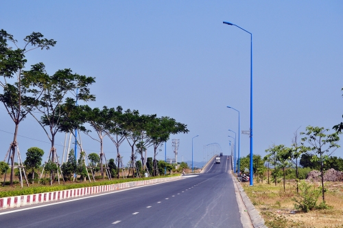 Đi qua mùa Đỗ Mai ảnh 2