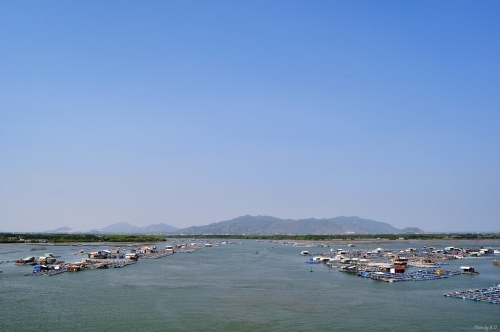 Đi qua mùa Đỗ Mai ảnh 3
