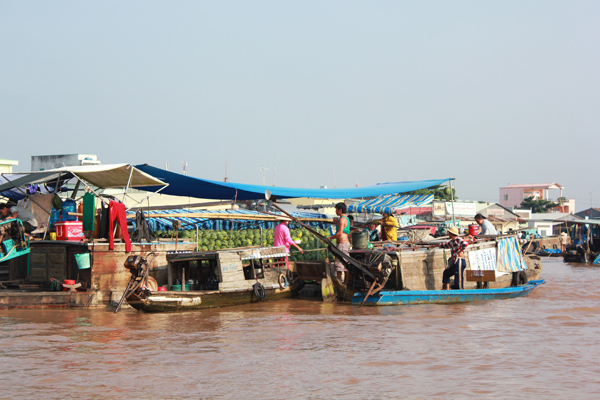 don ngay moi tren cho noi cai rang - 10