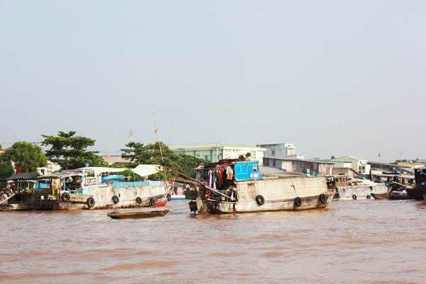 don ngay moi tren cho noi cai rang - 18