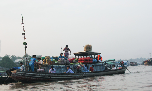 don ngay moi tren cho noi cai rang - 6