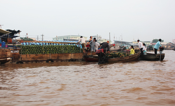 don ngay moi tren cho noi cai rang - 7