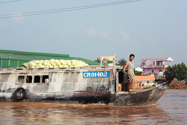 don ngay moi tren cho noi cai rang - 9