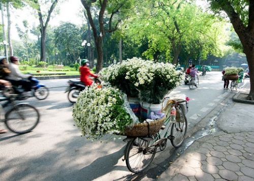 Hà Nội - Mùa họa mi ùa về trên phố - 12