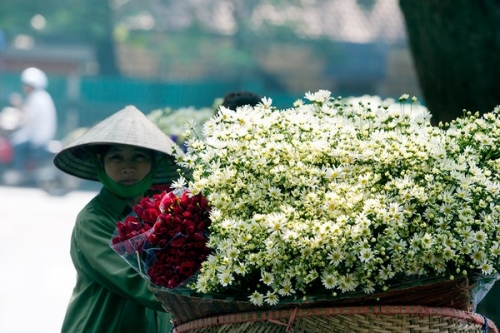 Hà Nội - Mùa họa mi ùa về trên phố - 13