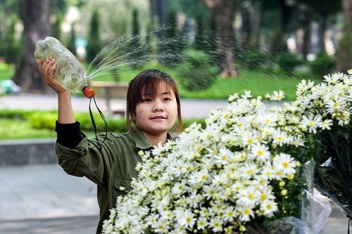 Hà Nội - Mùa họa mi ùa về trên phố - 14