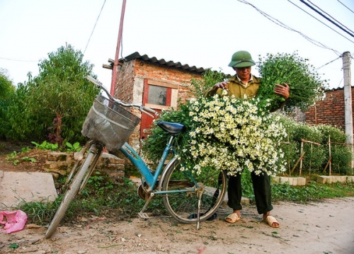 Hà Nội - Mùa họa mi ùa về trên phố - 5