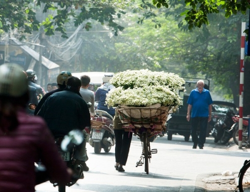 Hà Nội - Mùa họa mi ùa về trên phố - 9