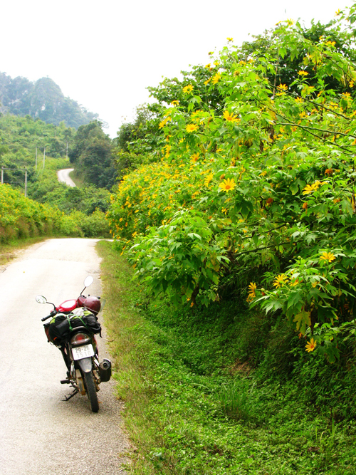 Hai mảnh ghép từ Sầm Nưa, Thượng Lào - 1