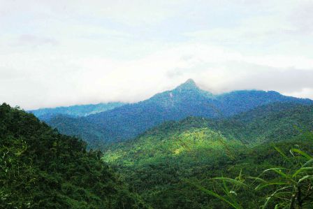 Khám phá rừng nguyên sinh phía Tây Đà Nẵng - 2