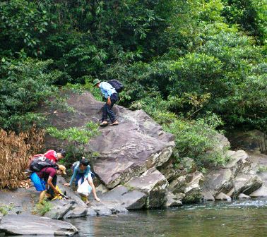 Khám phá rừng nguyên sinh phía Tây Đà Nẵng - 9