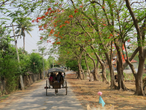 Xe-ngua-la-phuong-tien-di-lai-chu-yeu-o-