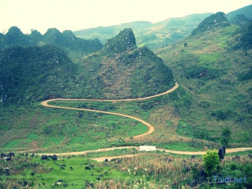 Kinh nghiệm du lịch Hà Giang - 10