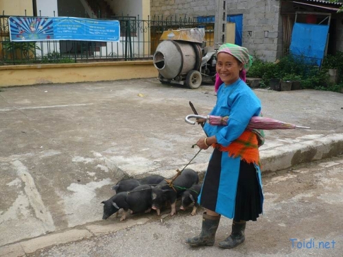 Kinh nghiệm du lịch Hà Giang - 12