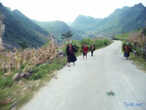 Kinh nghiệm du lịch Hà Giang - 3