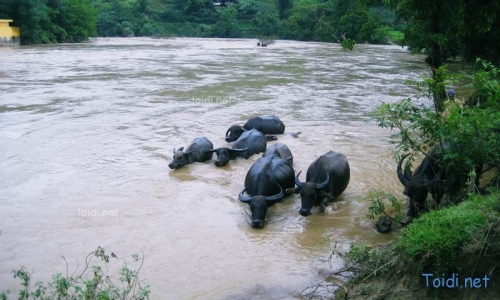 Kinh nghiệm du lịch Hà Giang - 4