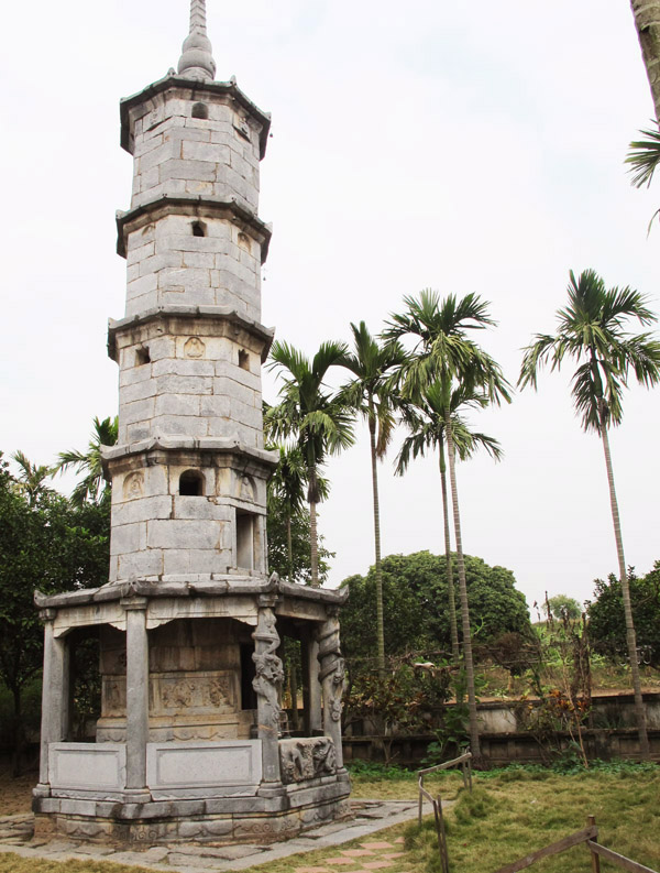 lac giua canh dong hoa cai ben song duong - 10