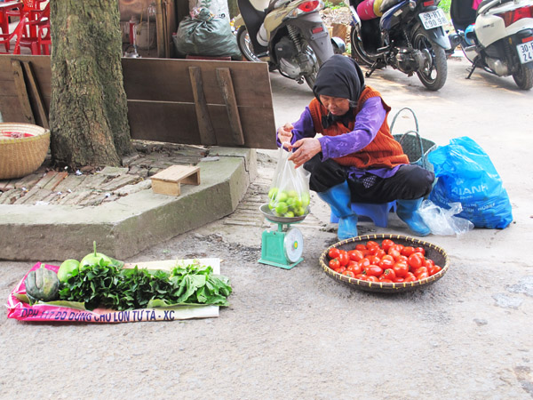 lac giua canh dong hoa cai ben song duong - 6