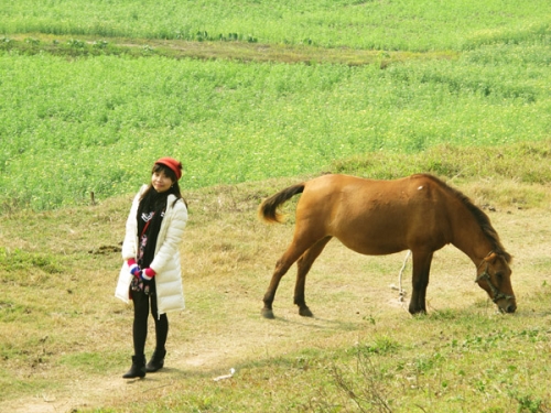 lac giua canh dong hoa cai ben song duong - 9