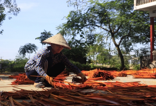 Làng nghề đan cỏ tế ở Lưu Thượng - 5