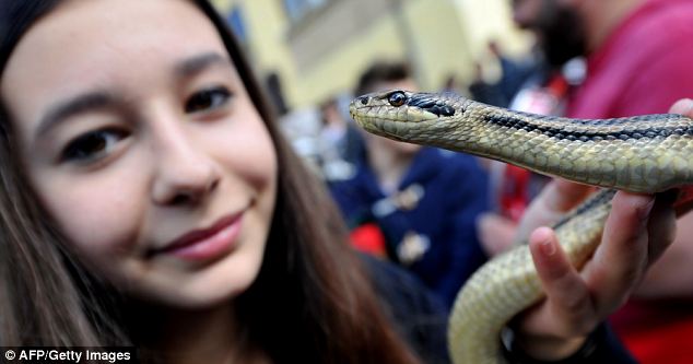 Lễ hội rắn kỳ lạ ở thị trấn Cocullo nước Ý - 9