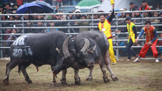Lễ hội sao rùng rợn quá! - 1