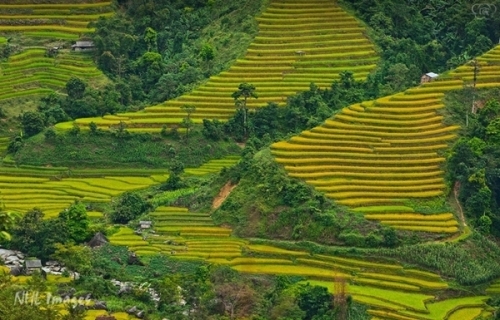 Lên Hà Giang chơi gì mùa thu? - 3