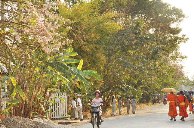 luangprabang vien ruby da sac - 3