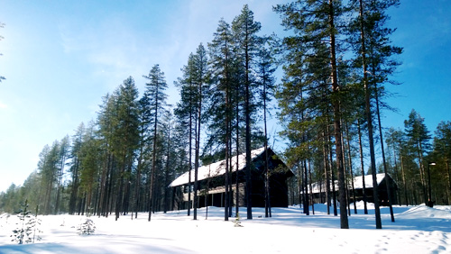 Miền cổ tích giữa mùa đông ở Lapland - 1