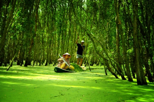 Miền Tây mùa nước nổi hấp dẫn du khách - 1