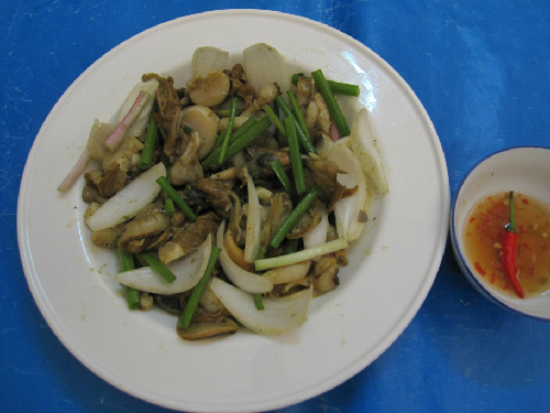 Miệt Thứ có con bắp chuối - 3