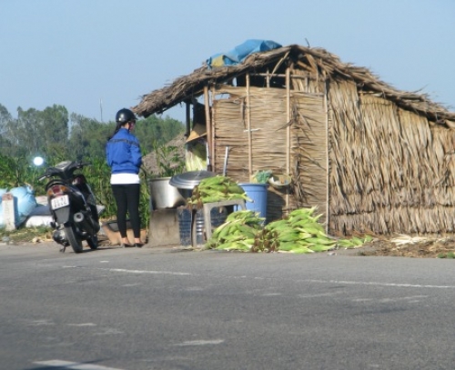 Một lần vi vu miền Tây lựa chọn đặc sản miệt vườn - 5