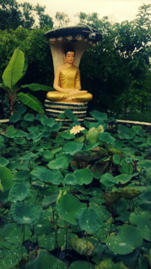 Nét đẹp chùa Khmer ở Cà Mau - 5