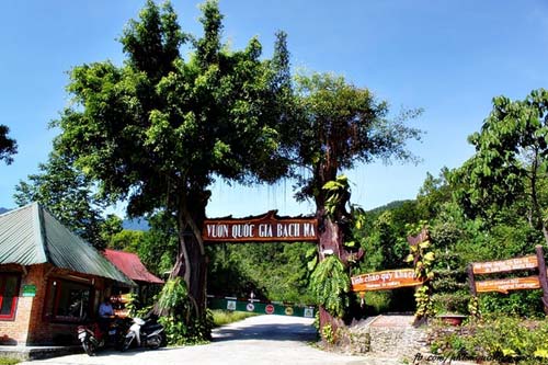 Nét hoang sơ, hùng vĩ ở vườn quốc gia Bạch Mã - 1