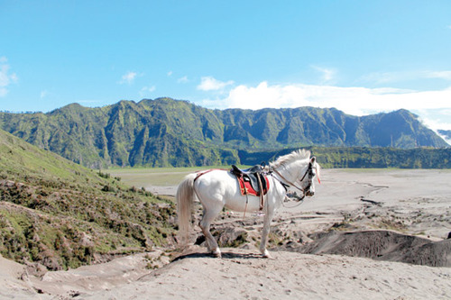 Ngắm bình minh trên núi lửa Bromo - 1